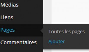 <span class="caption-title">Depuis 2003, WordPress se bonifie à chaque nouvelle version et offre un exemple éclatant de ce que l'Open Source offre de meilleur.</span><br><br>