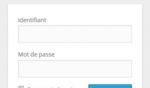 <span class="caption-title">Depuis 2003, WordPress se bonifie à chaque nouvelle version et offre un exemple éclatant de ce que l'Open Source offre de meilleur.</span><br><br>